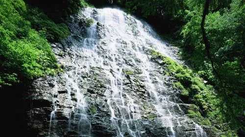 稳定性智能高端